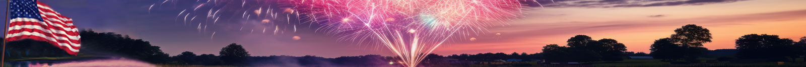 A flag next to a pond with a firework show off in the distance.